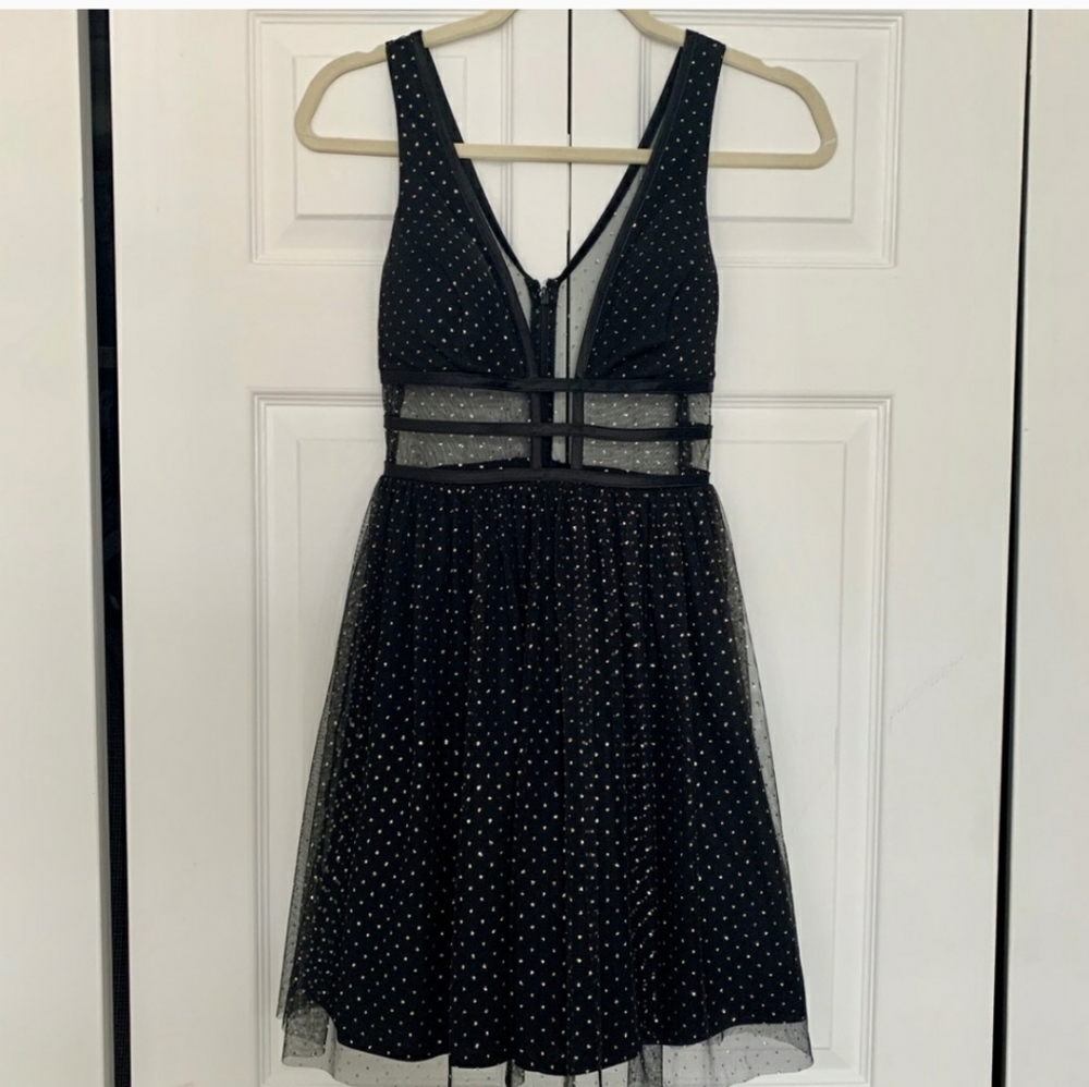 Blondie nites by stacy sklar